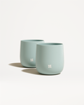 Porcelain Cups